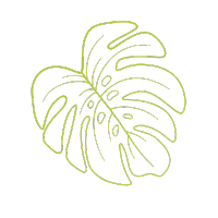 Decorative monstera leaf background